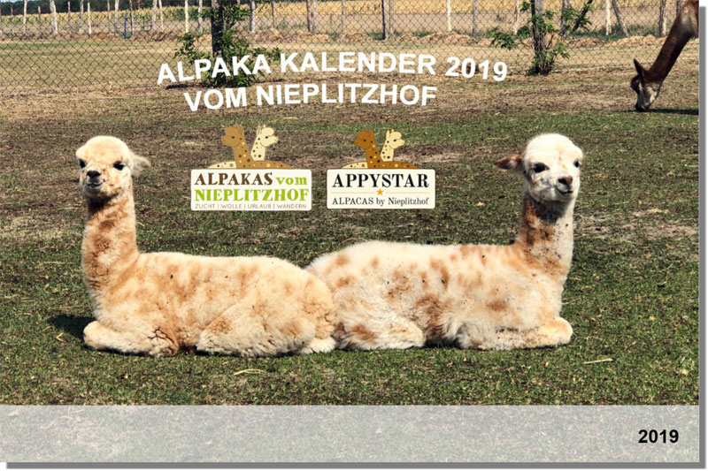 Alpaka Kalender DIN A3 Wandkalender 2019